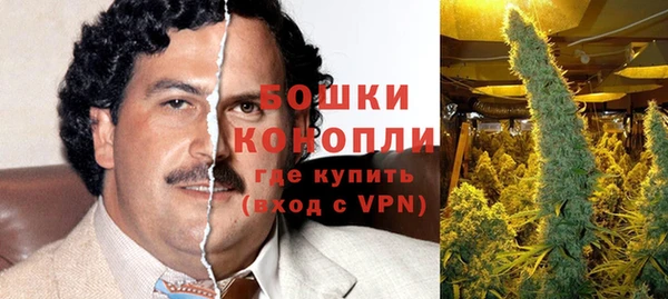 дурь Пересвет