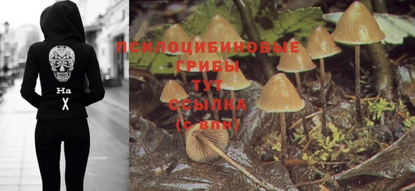 гашик Алзамай