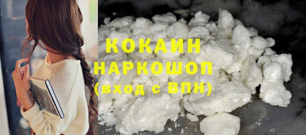 гашик Алзамай
